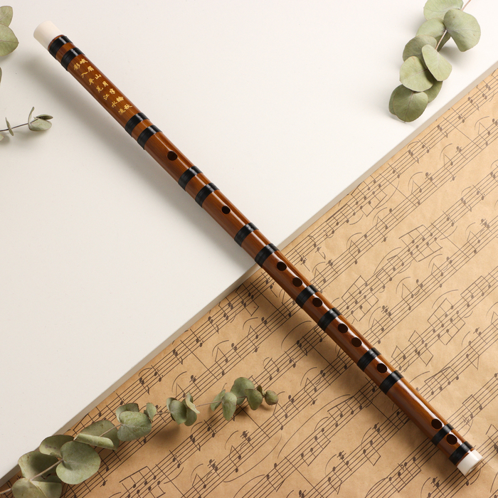 Флейта Music Life 48 см, бамбук, тональность D - Фото 1