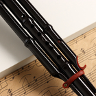 Флейта Music Life, хулуси, тональность C, черная, 42 х 8,7 х 5 см - Фото 2