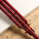 Флейта Music Life, хулуси, тональность C, красная, 42 х 8,7 х 5 см - Фото 2