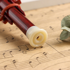 Флейта Music Life, хулуси, тональность C, красная, 42 х 8,7 х 5 см - Фото 3
