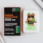 Зарядное устройство «100% заряд», 5000мА - Фото 2