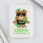 Зарядное устройство «100% заряд», 5000мА - Фото 3