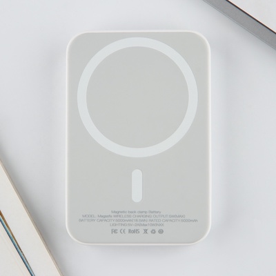 Зарядное устройство «100% заряд», 5000мА