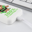 Зарядное устройство «100% заряд», 5000мА - Фото 10