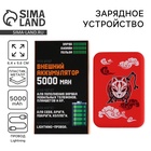 Зарядное устройство «Маска», 5000мА - Фото 1