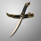 Макет оружия «Сувенирный ятаган», 35 см, клинок 22 см - Фото 1