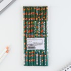 Карандаш простой чёрнографитный «Вперёд к знаниям!», без ластика, 17,7 х 0,7 см (комплект 10 шт) - фото 23742672