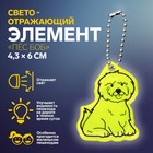 Светоотражающий элемент «Пёс Боб», двусторонний, 4,3 × 6 см, цвет МИКС - фото 321126362