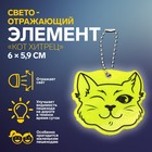 Светоотражающий элемент «Кот хитрец», двусторонний, 6 × 5,9 см, цвет МИКС - фото 304669883
