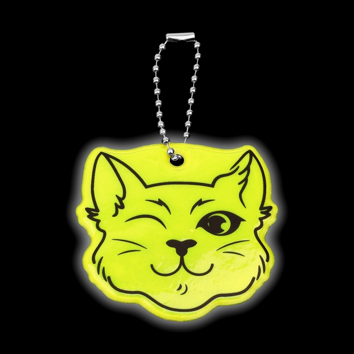 Светоотражающий элемент «Кот хитрец», двусторонний, 6 × 5,9 см, цвет МИКС