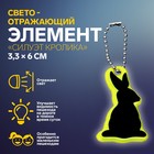 Светоотражающий элемент «Силуэт кролика», двусторонний, 3,3 × 6 см, цвет МИКС - фото 321126464