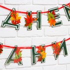 Гирлянда для украшения класса на ленте на 1 Сентября «С днем знаний», 230 см - Фото 3