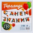 Гирлянда для украшения класса на ленте на 1 Сентября «С днем знаний», 230 см - Фото 4