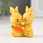 Сувенир полистоун "Пара кроликов с морковкой" МИКС 2х3,5х5 см - Фото 3