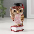Фигурка полистоун «Ученый красный филин на книге», 3.5×4.5×8.5 см, МИКС - Фото 2