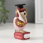 Фигурка полистоун «Ученый красный филин на книге», 3.5×4.5×8.5 см, МИКС - Фото 3