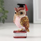Фигурка полистоун «Ученый красный филин на книге», 3.5×4.5×8.5 см, МИКС - Фото 5