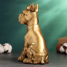 Фигура "Пес в кепке и галстуке сидит" 23см, бронза - фото 25488885