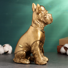 Фигура "Пес в кепке и галстуке сидит" 23см, бронза - фото 25488886