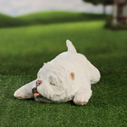 Садовая фигура "Болонка лежит" 11х38cм - фото 24510540