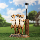 Садовый фонарь "Сурикаты шагают" 31х26х10см - фото 24133465