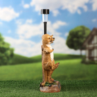 Садовый фонарь "Сурикаты шагают" 31х26х10см - фото 24133467