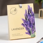 Саше ароматическое Spring "Lavender", лаванда, эвкалипт, розмарин, 10  г - фото 12054615
