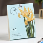 Саше ароматическое Spring "Iris", ирис, перец, гранат и амбра 10  г - фото 321198983