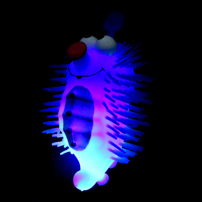 Ёжка «Морской ёж» световой, цвета МИКС