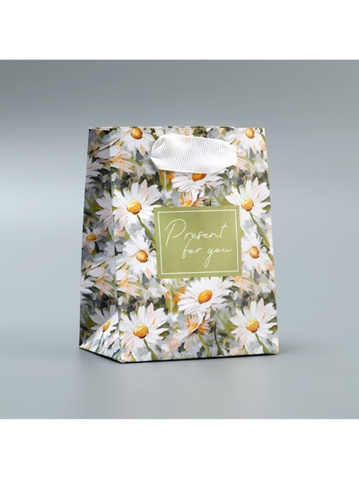 Пакет подарочный ламинированный, упаковка, Present, 9×12×6.5 см