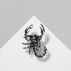 Брошь «скорпион», цвет чернёное серебро - фото 9185065