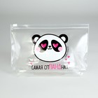 Подарочный набор для девочки «Самая отПАНДная», косметичка, расчёска, наклейки для ногтей, 2 резинки, анкета для девочек А6, МИКС - фото 23743980