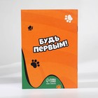 Подарочный набор «Кот» блокнот А6, значок, наклейки и карандаши 2 шт 9893103 - фото 13028251