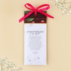 Ароматизатор для дома аромасаше , аромат вишня, 6 х 14,5 см. - Фото 3