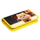 Пенал школьный, 1 секция, 11.5×20.5×3 см «Сиба» - Фото 3