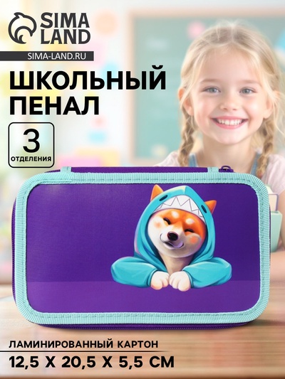 Пенал школьный, 3 секции, 12.5×20.5×5.5 см «Сиба»