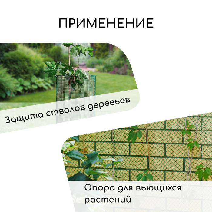 Сетка садовая, 0,5 × 5 м, ячейка квадрат 50 × 50 мм, пластиковая, зелёная, Greengo