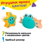 Игрушки для купания в ванне «Подводный мир», набор 2 шт., МИКС - Фото 5