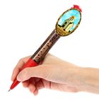 Ручка-гигант «Новосибирск» - Фото 3