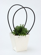 Сумка для цветов тиснение Белая влагостойкая, 12×12 - 8×8 - 12.5 см - Фото 2