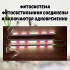 Стеллаж деревянный для рассады с фитосветильниками полного спектра и таймером 110х65х24 см   1037092