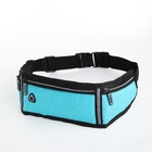 Сумка для бега, 3 отдела на молниях, светоотражающие элементы, отверстие для наушников, 50×0.1×11 см, голубая - Фото 9