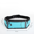 Сумка для бега, 3 отдела на молниях, светоотражающие элементы, отверстие для наушников, 50×0.1×11 см, голубая - Фото 5