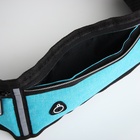 Сумка для бега, 3 отдела на молниях, светоотражающие элементы, отверстие для наушников, 50×0.1×11 см, голубая - Фото 4