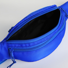 Поясная сумка на молнии, 2 кармана, цвет синий - фото 11189845