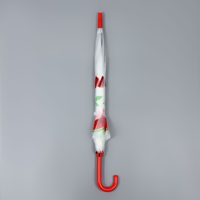 Зонт - трость полуавтоматический «Фрукты», 8 спиц, R = 45 см, рисунок МИКС - фото 1908074261