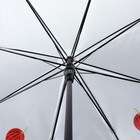 Зонт - трость полуавтоматический «Фрукты», 8 спиц, R = 45 см, рисунок МИКС - Фото 13