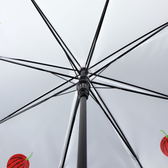 Зонт - трость полуавтоматический «Фрукты», 8 спиц, R = 45 см, рисунок МИКС - фото 1908074262