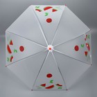 Зонт - трость полуавтоматический «Фрукты», 8 спиц, R = 45 см, рисунок МИКС - Фото 6