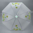 Зонт - трость полуавтоматический «Фрукты», 8 спиц, R = 45 см, рисунок МИКС - фото 9311563